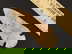 item-206142134=1