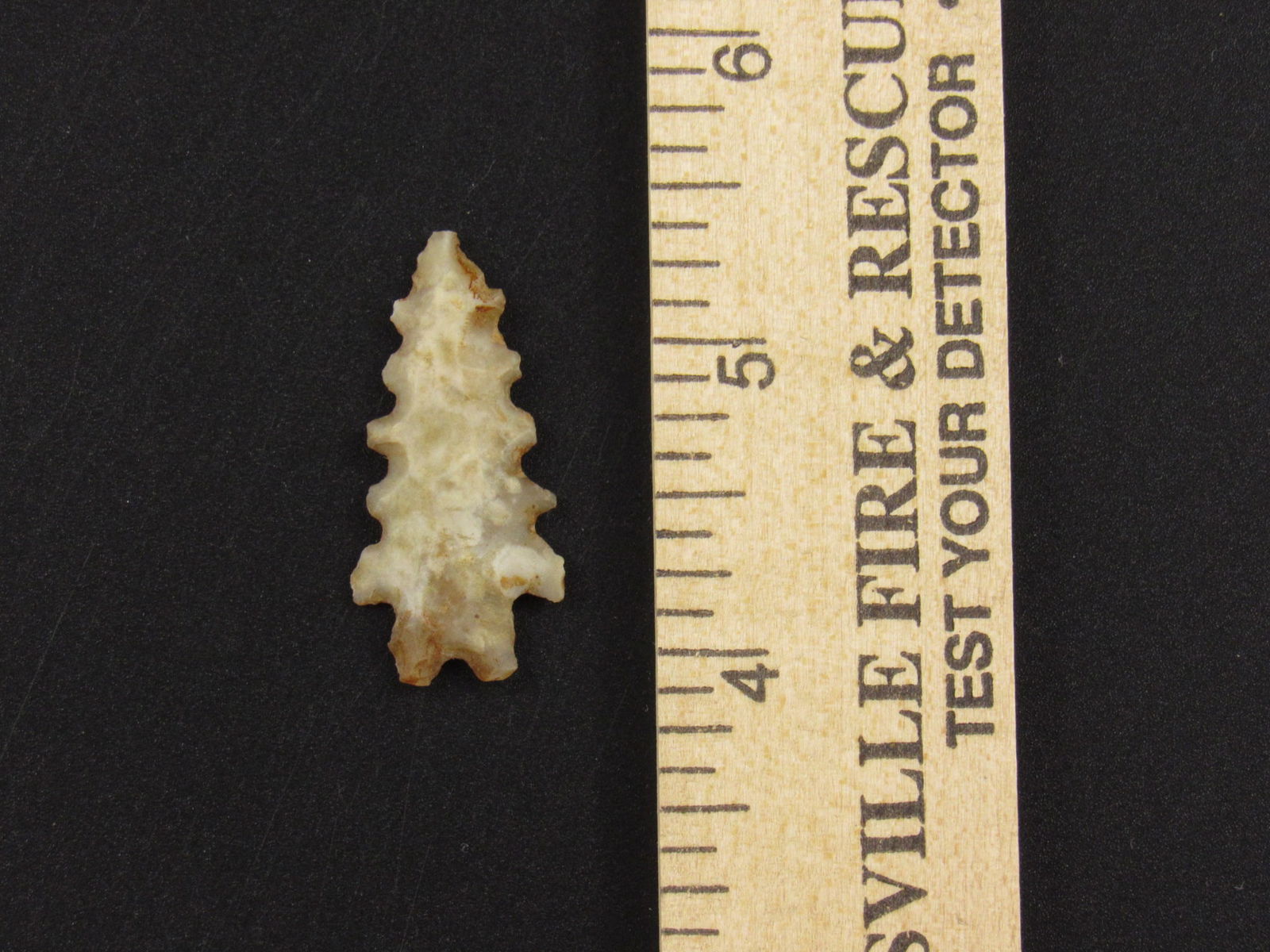 Beautiful Native American Indian Serrated Arrowhead (1 of 3)