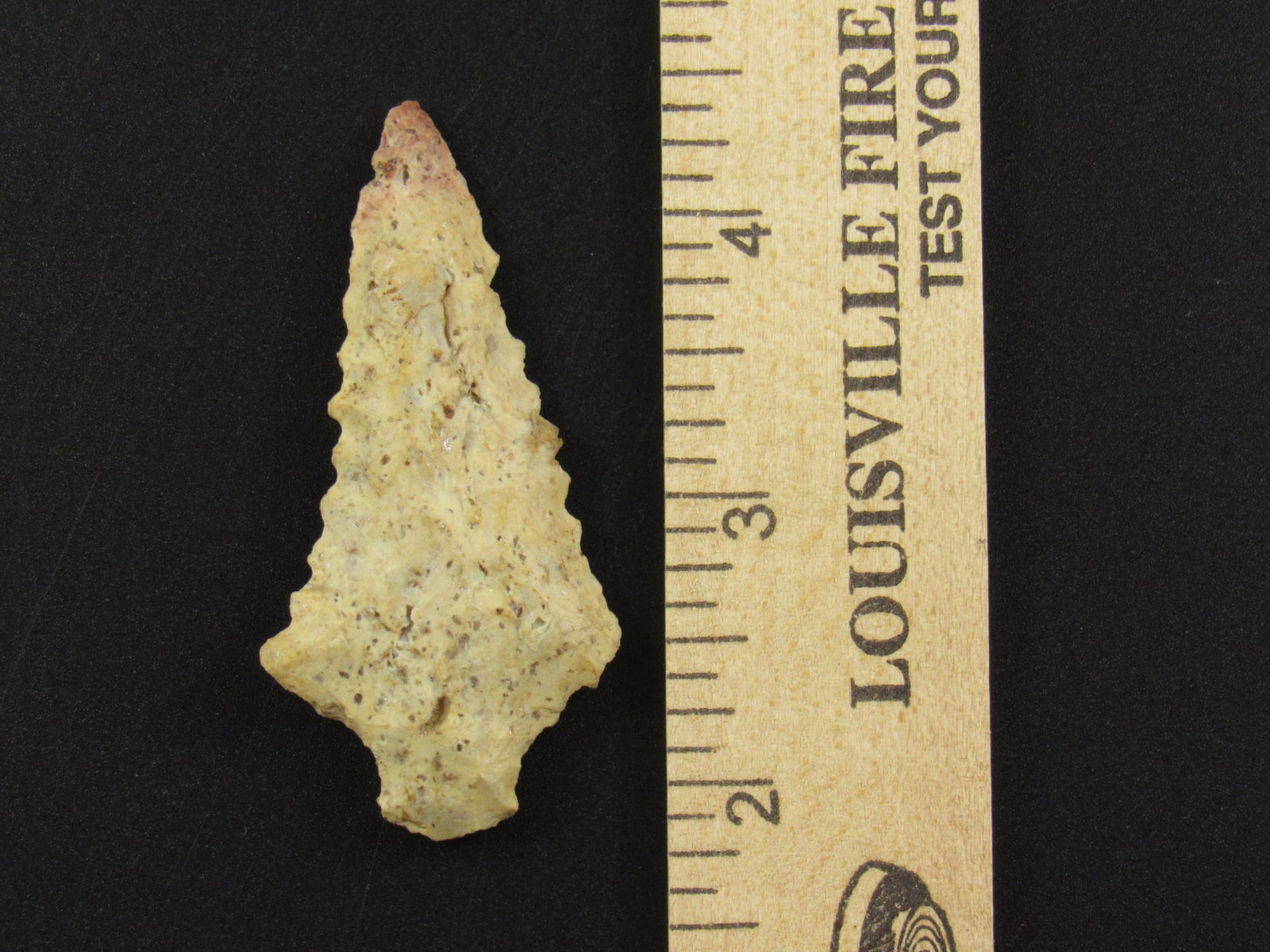 Beautiful Prehistoric Serrated Native American Indian Arrowhead: Beautiful serrated Indian arrowhead from Florida. Ex B. Bowles collection.