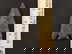 item-208582691=2