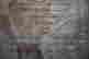 item-130913209=20