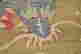 item-131482975=11