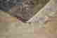 item-131483510=10