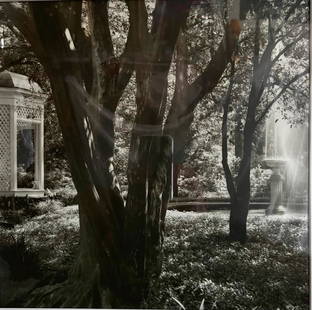 Lynn Geesaman (American, b.1938)~ St. Francisville, Louisiana, 1983~ COA: Lynn Geesaman (American, b.1938)~ St. Francisville, Louisiana, 1983~ COA. Silver print process. Exhibited: 1983 Gerry Richards Gallery, 1984 Pensilvania State University. Measures approx. 24 1/4" Tall