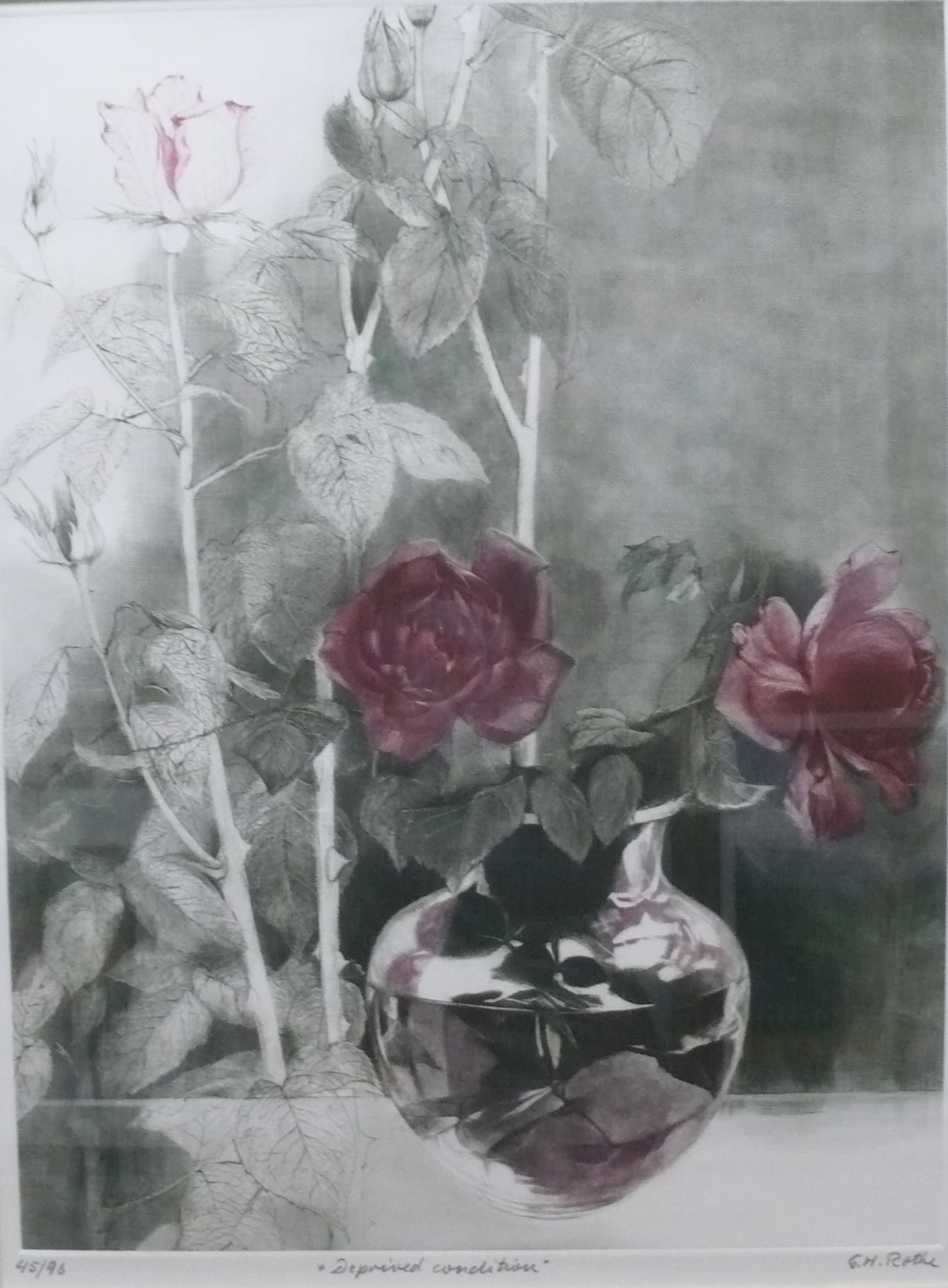 G.H. Rothe – Red Roses in Clear Vase: Realistic mezzotint of two bright red roses in glass vase against a grayscale background. Strong chiaroscuro typical of Rothe’s florals G.H. Rothe was a German printmaker specializing in mezzotint,