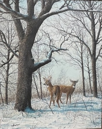 Larry Anderson – Two Deer in Winter Woods: Two deer in a snowy forest; cool grays and russets define late winter lighting; detailed trees frame the animals Larry Anderson is a Midwestern wildlife artist focusing on naturalistic depictions of