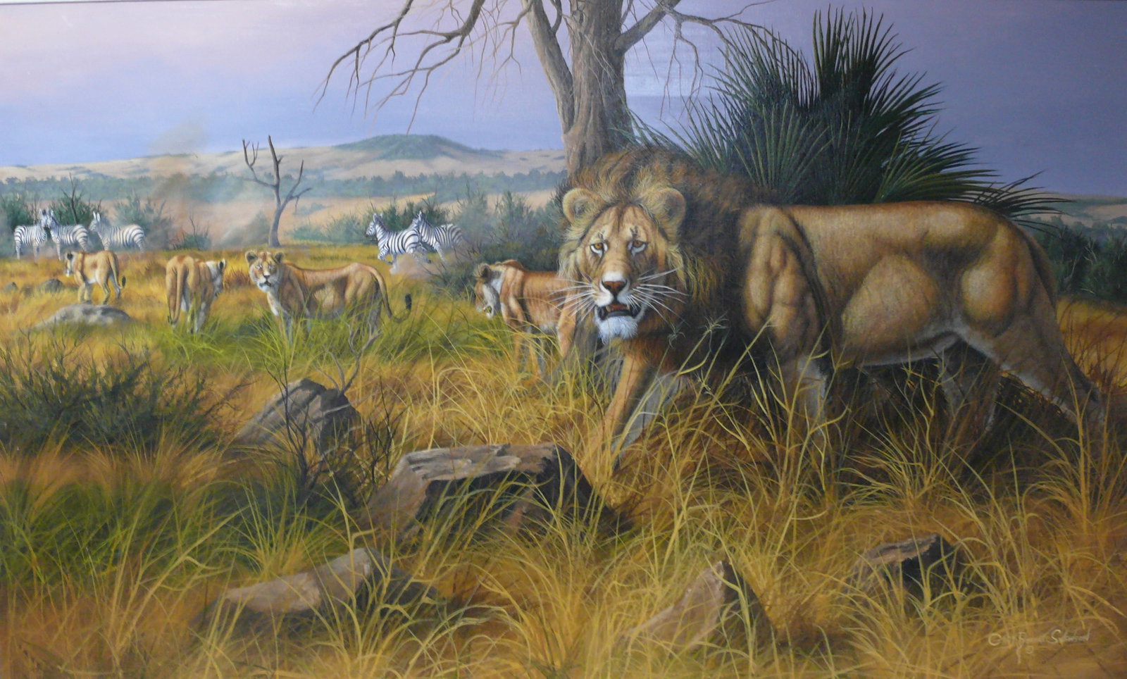 Gary Robert Swanson — Wildlife Safari Scene: Majestic wildlife safari scene featuring a lion staring directly at the viewer, with other wildcats and distant wildlife in the background. Panoramic composition emphasizes scale, movement, and natura