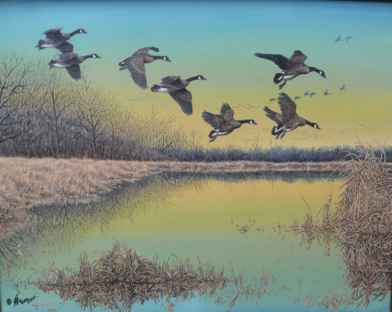 Larry Anderson — Iowa Serenity IV: A tranquil flight over Iowa’s quiet waters, with Canada geese gliding across a mirrored lake, framed by bare trees under a soft horizon glow. This original acrylic painting evokes reflection and rev
