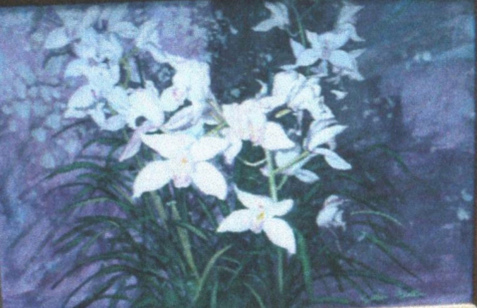 Jim Miller — Night Irises, Oil on Canvas: A bouquet of white irises set against a twilight background; soft lighting and gentle shadowing create depth and serenity in this floral study Jim Miller is known for floral realism in prints and limi