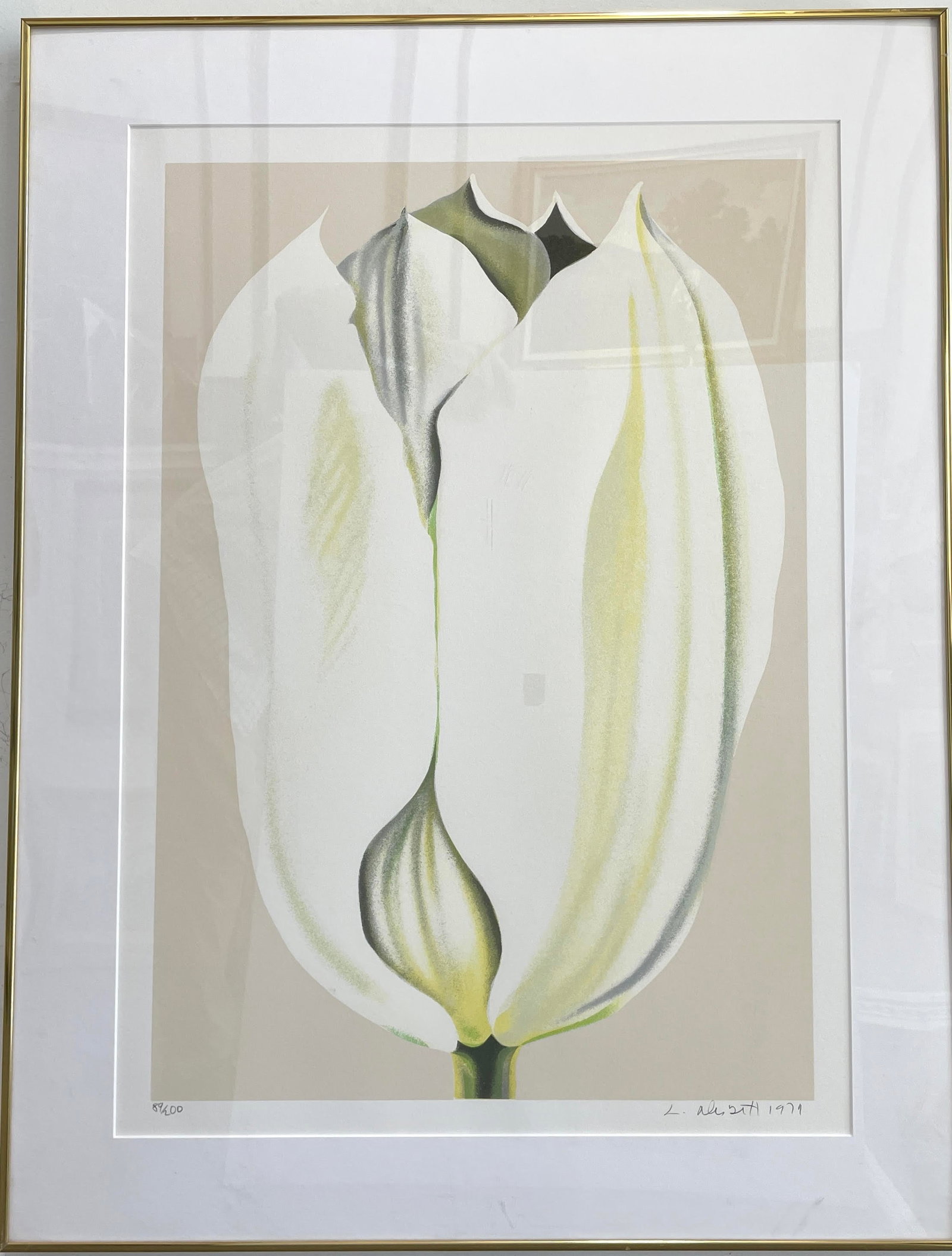 Lowell Blair Nesbitt 1933–1993 (American) – White Emperor Tulip, Hand-Signed Color Lithograph, (1 of 4)