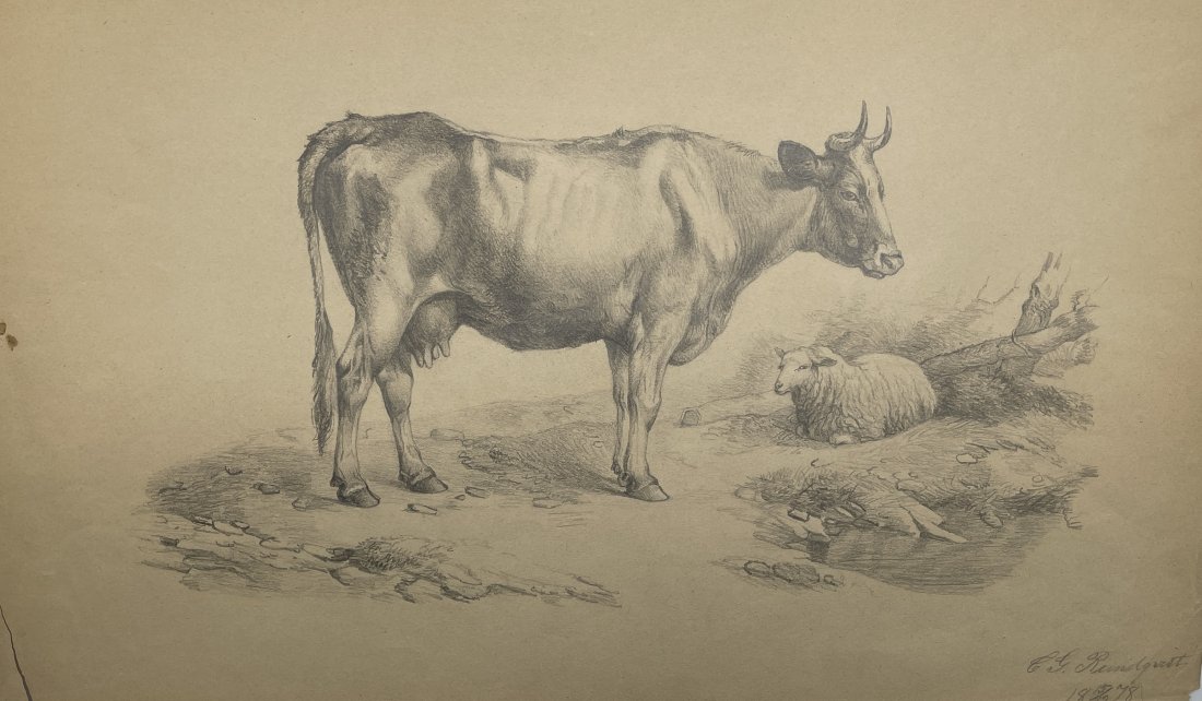 Antique Drawing  Print - Sketch Cows, Sheep - 19th Century (1 of 3)