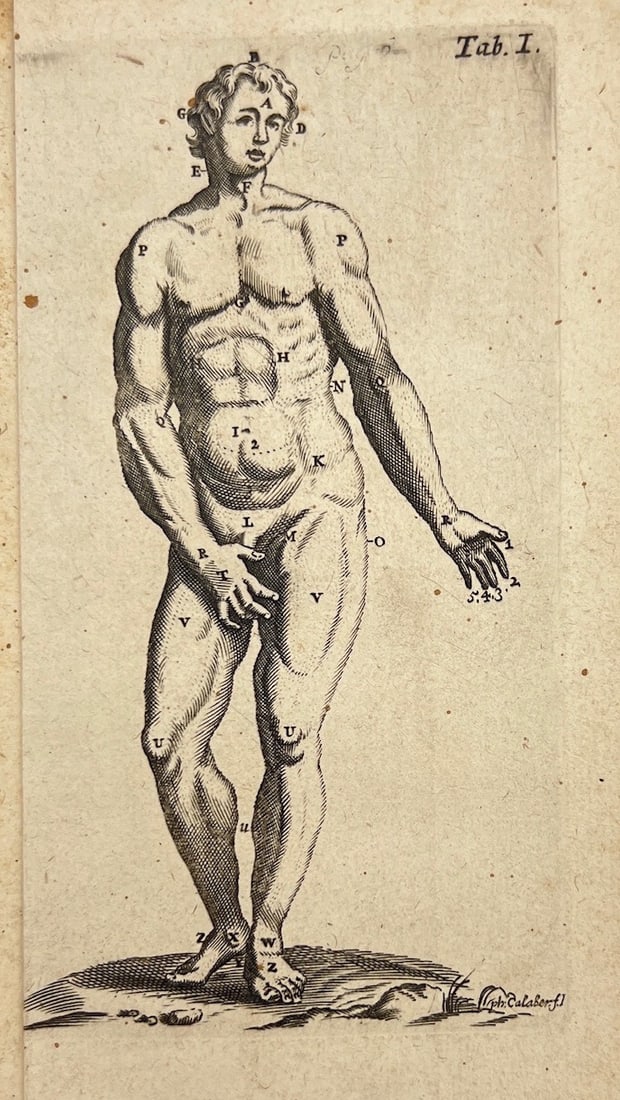 Antique Anatomy Print - Human Body - Plate I - Philip Verheyen - Belgium - 1693 (1 of 2)
