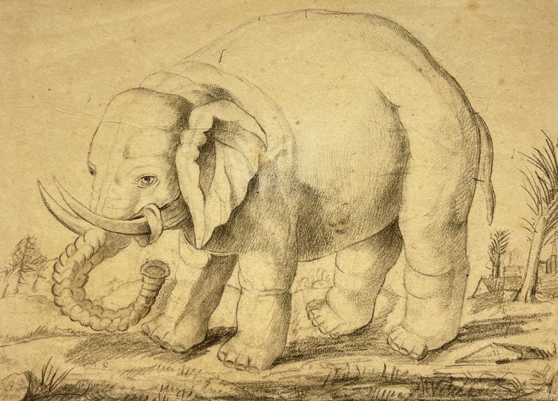 Unknown artist - Antique Drawing of Elephant - Black pencil (1 of 2)