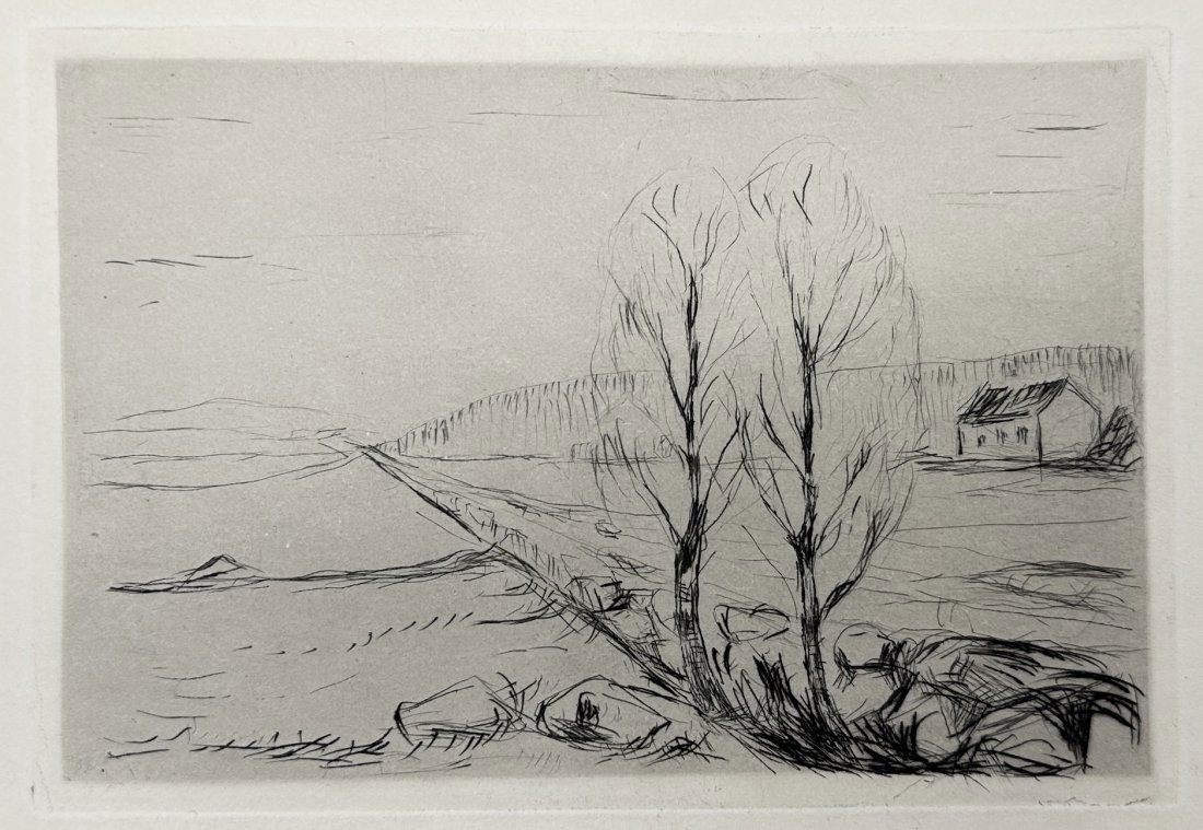 Edvard Munch (Norway, 1863-1944) "Norwegian Landscape (Norwegische Landschaft)": Edvard Munch, "Norwegian Landscape (Norwegische Landschaft)"Drypoint engraving. Executed in 1908. Original included in Herman Struck's : "Die Künst des Radierens"