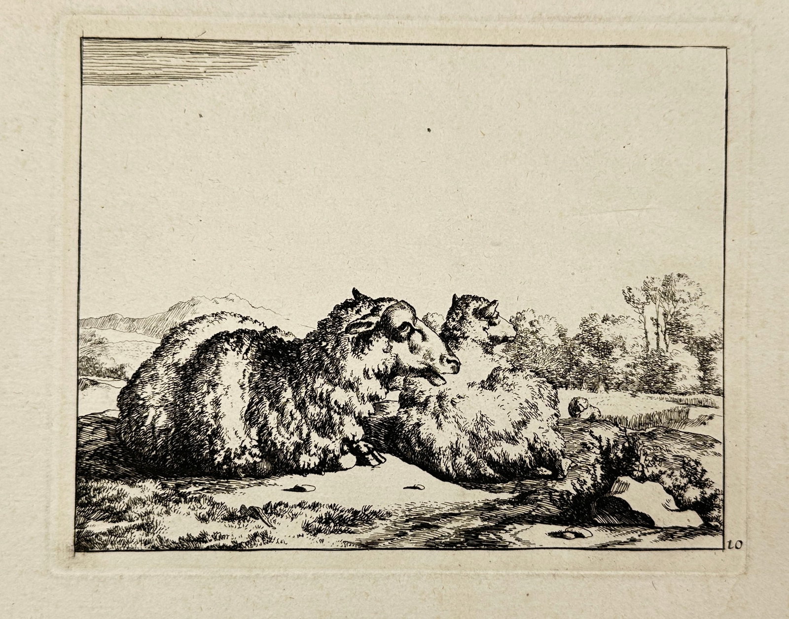 Marcus de Bye / Nicolaes Visscher - Mammal Print - Two lying sheep - 1664 (1 of 3)