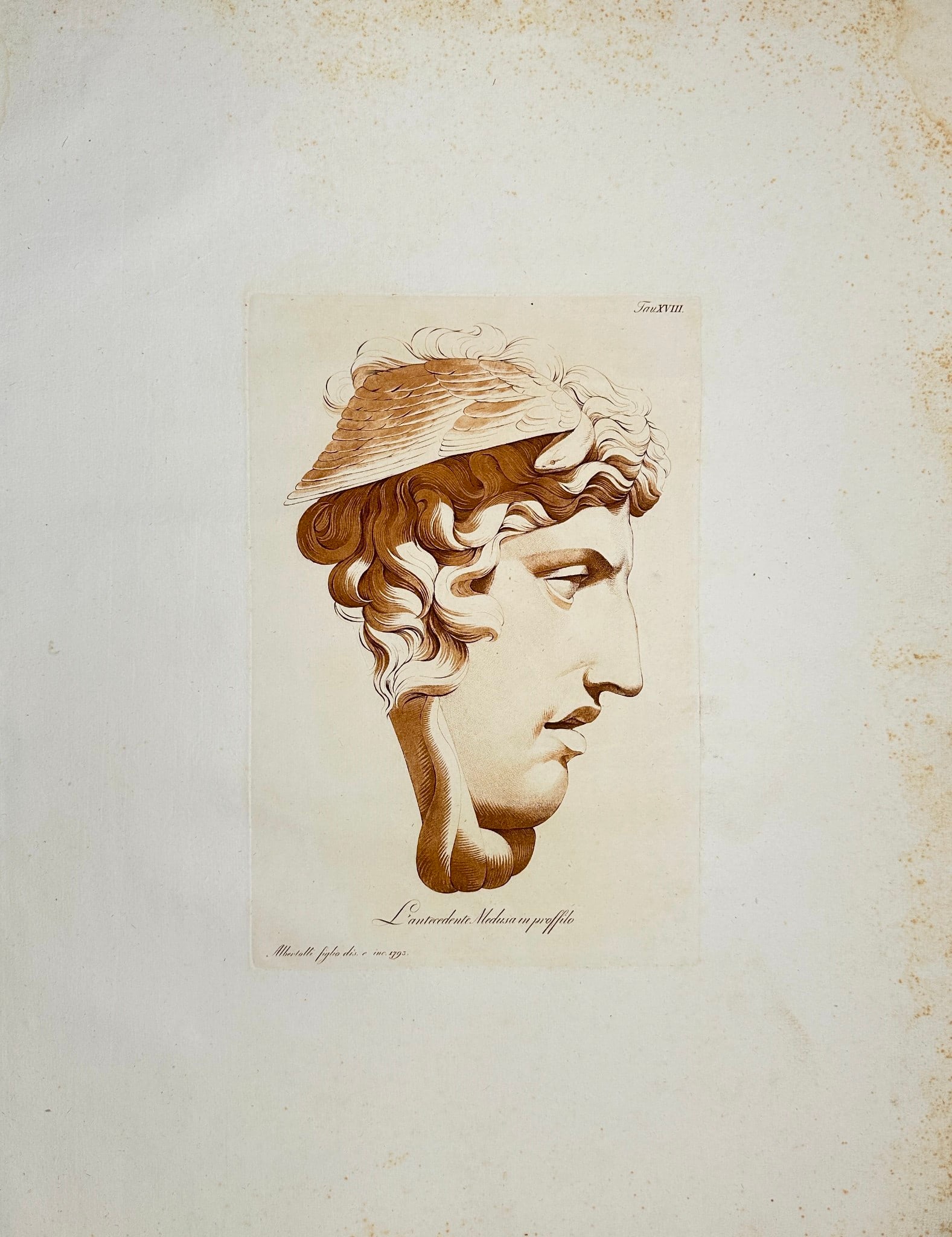Raffaele Albertolli (1770–1812) – Head of the Medusa - L'antecedente Medusa in proffilo: ”L'antecedente Medusa in proffilo” / ”The antecedent Medusa in profilo”.Large antique aquatint with dot roulette etching printed with sanguine coloured ink on heavy laid paper 