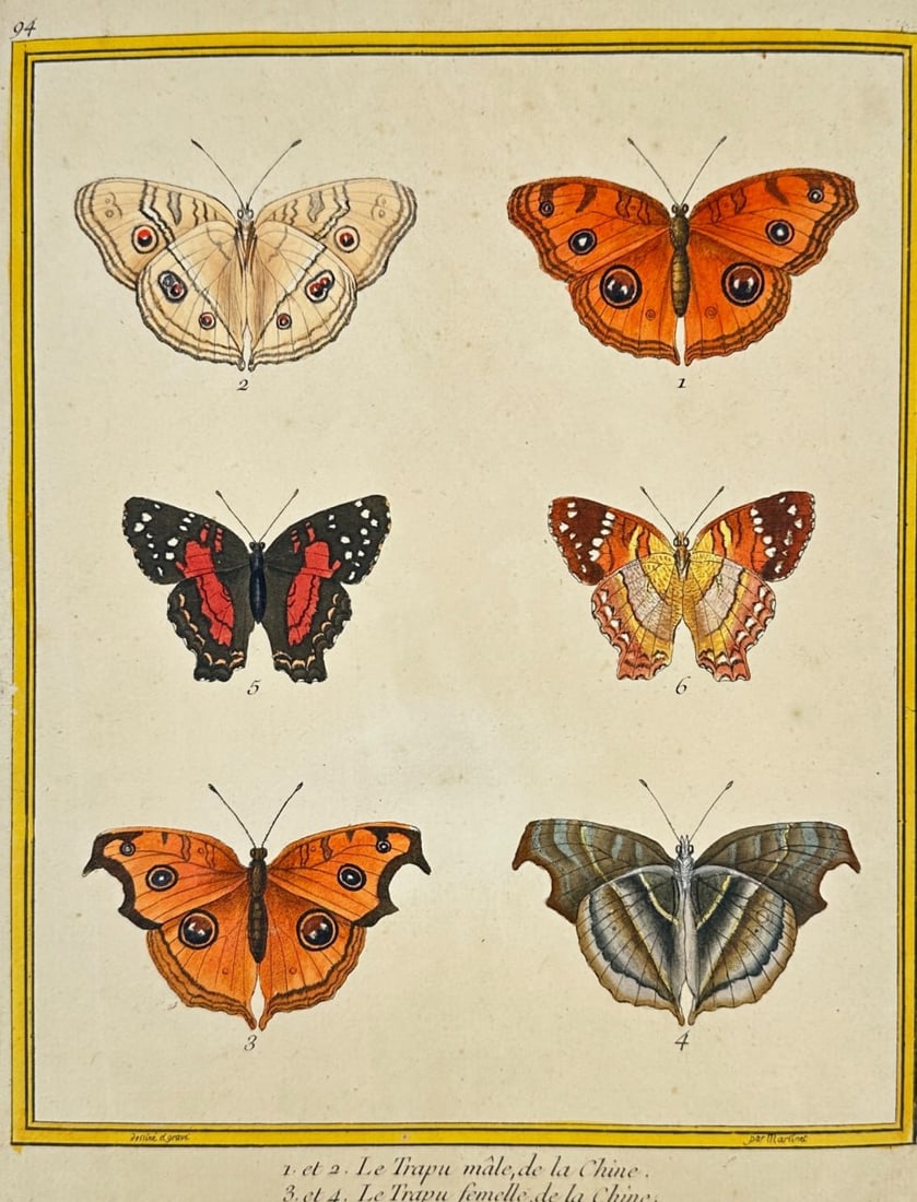 François Martinet – The Tirapiu & The Rouël – Original Hand-Colored Engraving (1780) (1 of 3)