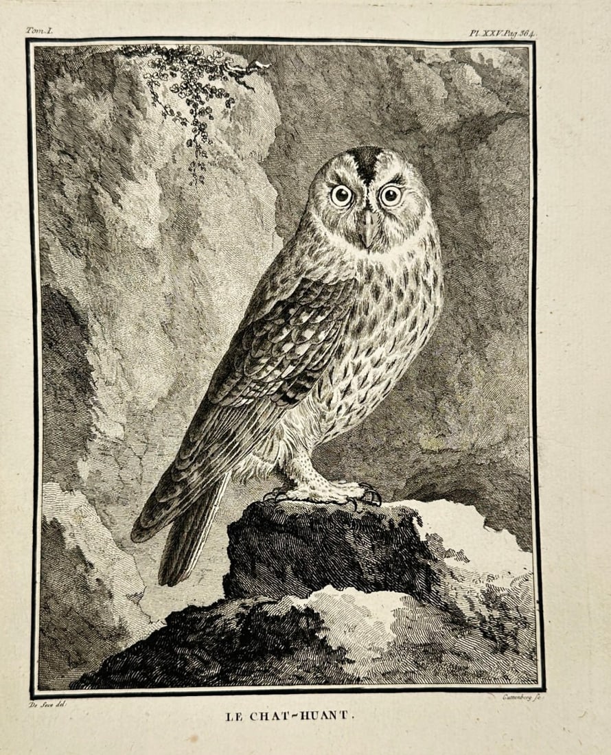Jacques de Sève – Le Chat-Huant (The Tawny Owl) – Engraving (18th Century) (1 of 3)