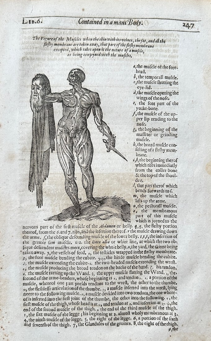 Ulisse Aldrovandi (1522–1605) – Anatomical Study of a Flayed Man – Woodcut 1607 (1 of 3)