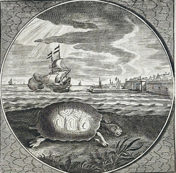 Jacob Cats (1577-1660) – The Turtle – Engraving (Early 17th Century) (1 of 3)