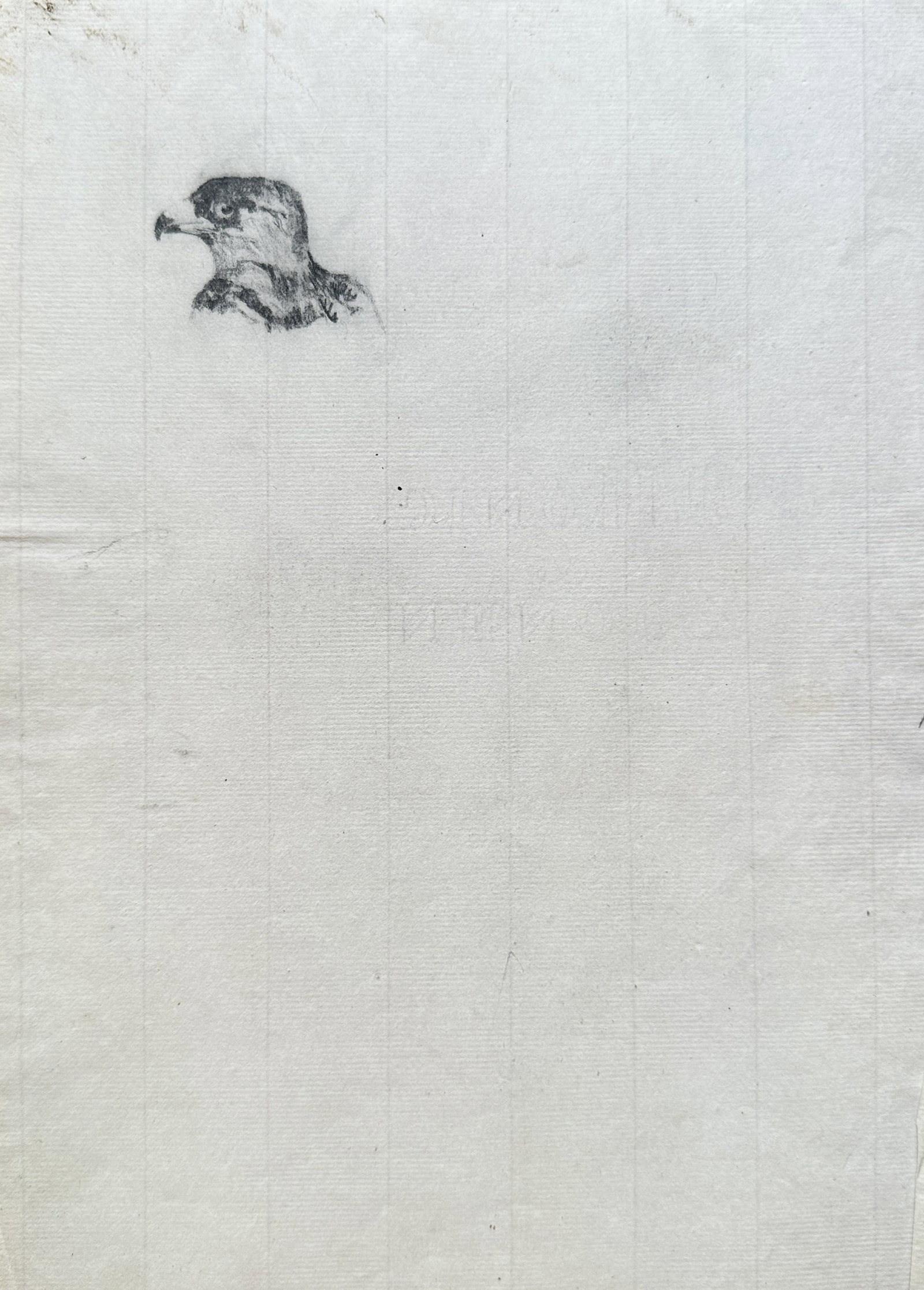 Unknown Artist – Untitled (Study of a Bird) – Pencil on gridded paper (Circa 1900) (1 of 3)