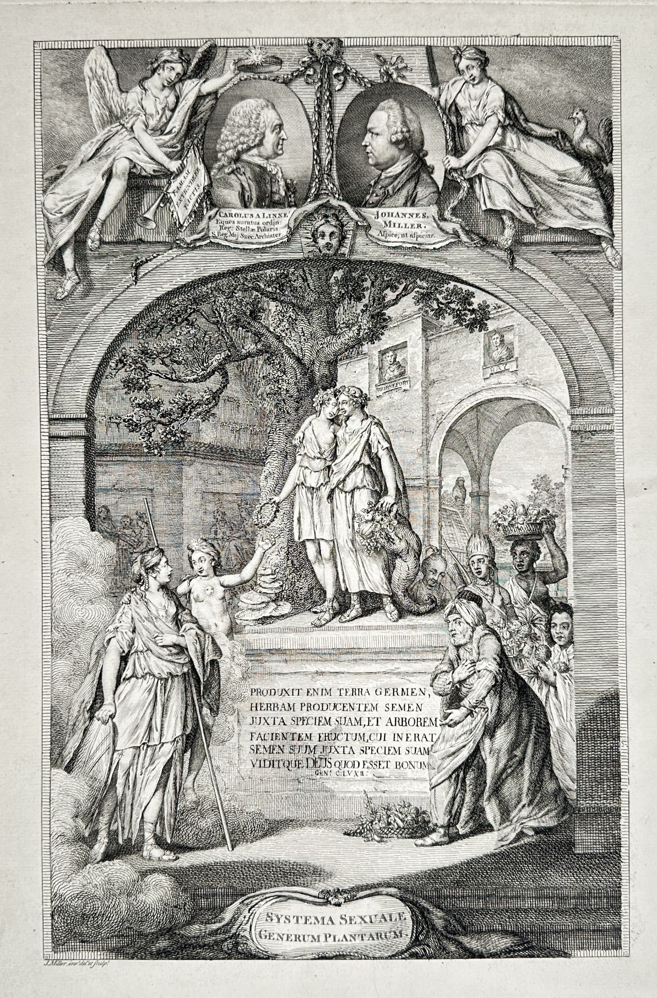 John Miller (Johann Sebastian Müller) (1715–1792) – Allegorical Frontispiece: This large folio engraving serves as the elaborate allegorical frontispiece to John Miller's influential work, An Illustration of the Sexual System of Linnaeus (Illustratio Systematis Sexualis Linnaei