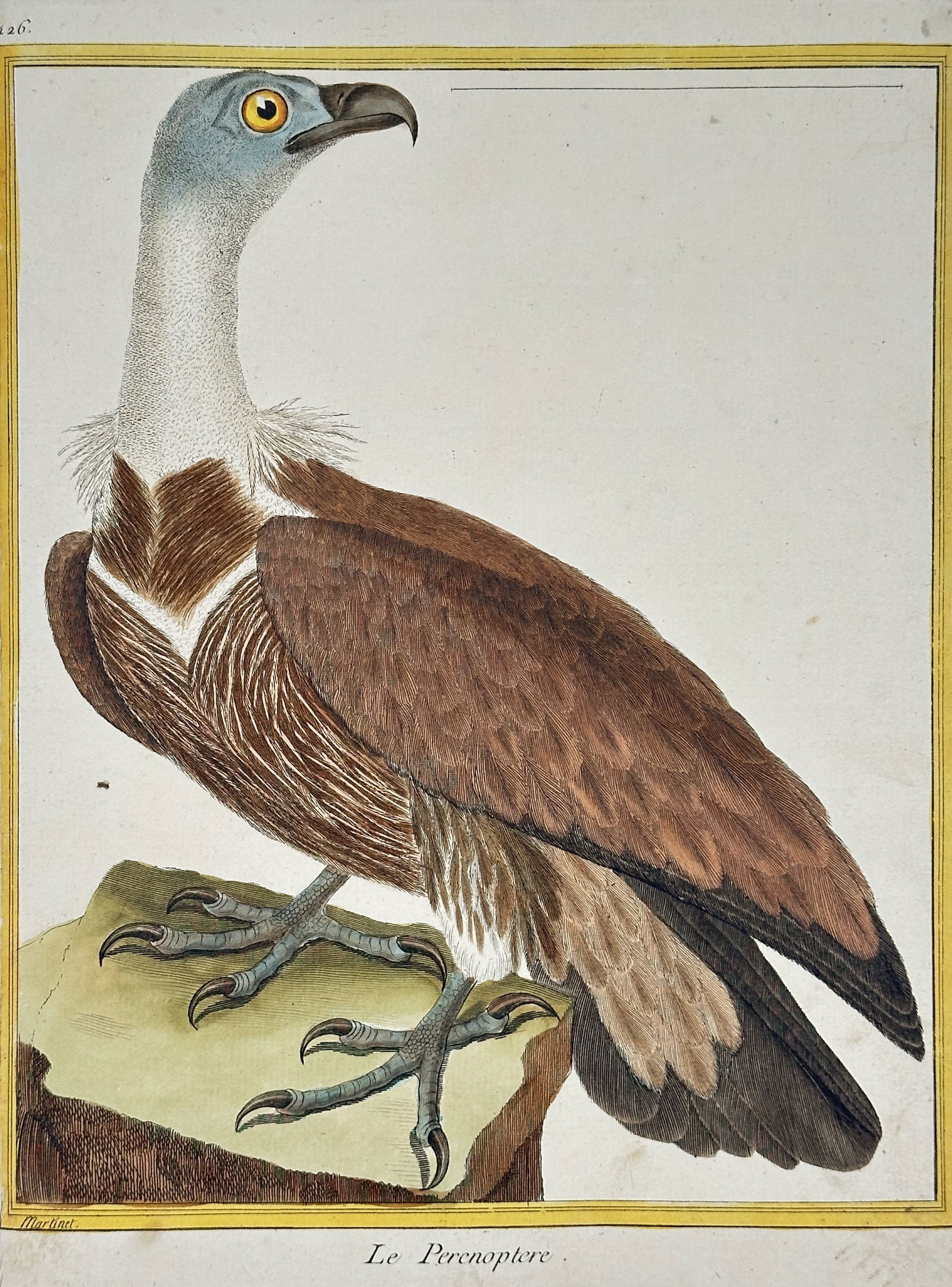 François-Nicolas Martinet (1731–1800) – Le Perenoptere (The Promerops) – Engraving: This zoological engraving with hand-coloring (Plate 281) depicts a Promerops, or Sugarbird (Le Promerops). The bird is shown perched on a branch, its head turned in profile, and is characterized by me