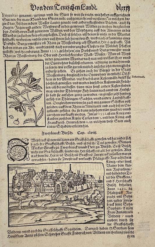 Sebastian Münster – Of the German Land with Botanical and Topographical Views (1 of 2)