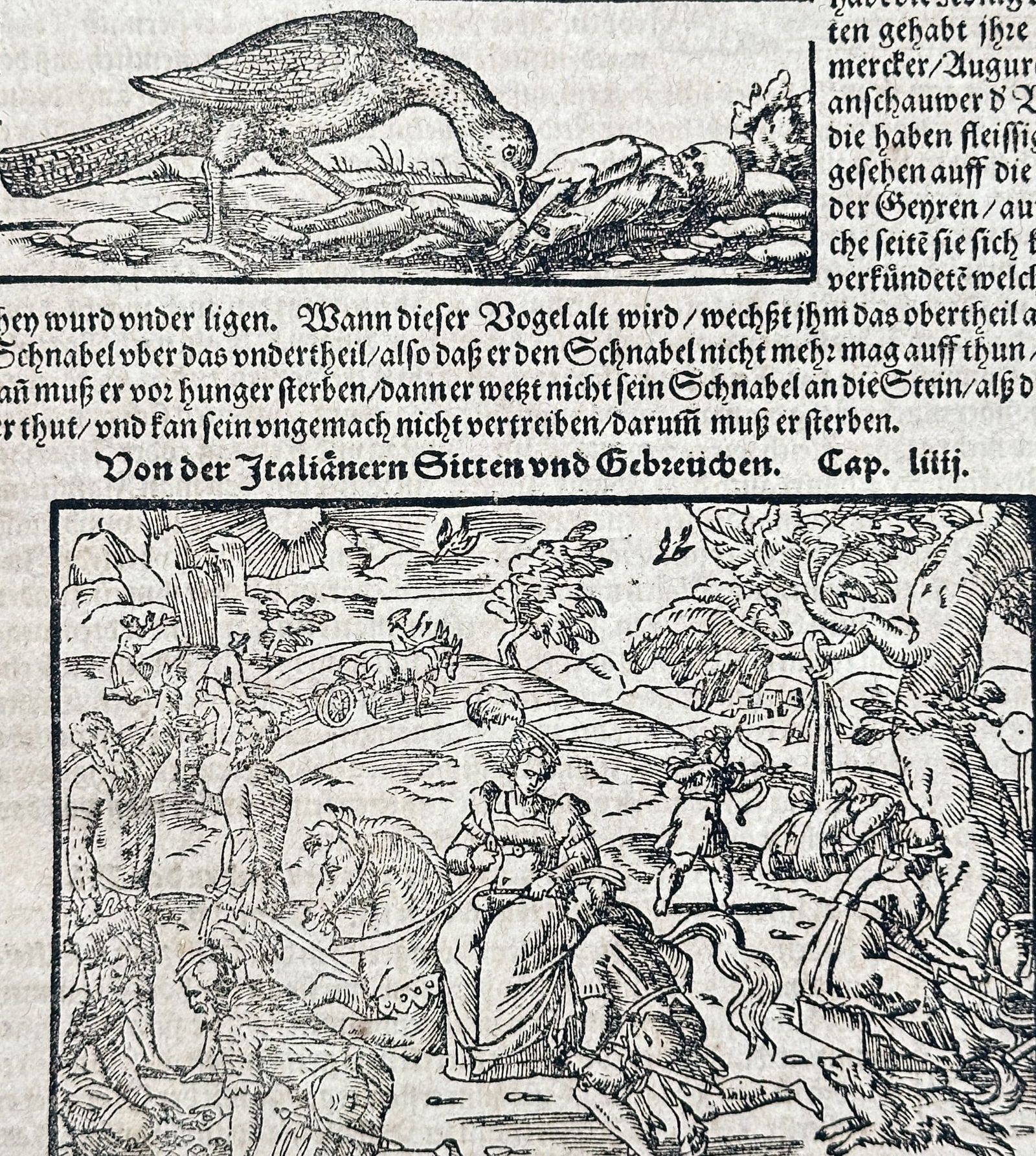 Sebastian Münster (1488–1552) – Italian Fauna and Ox-Drags (Von Italia) (1 of 3)