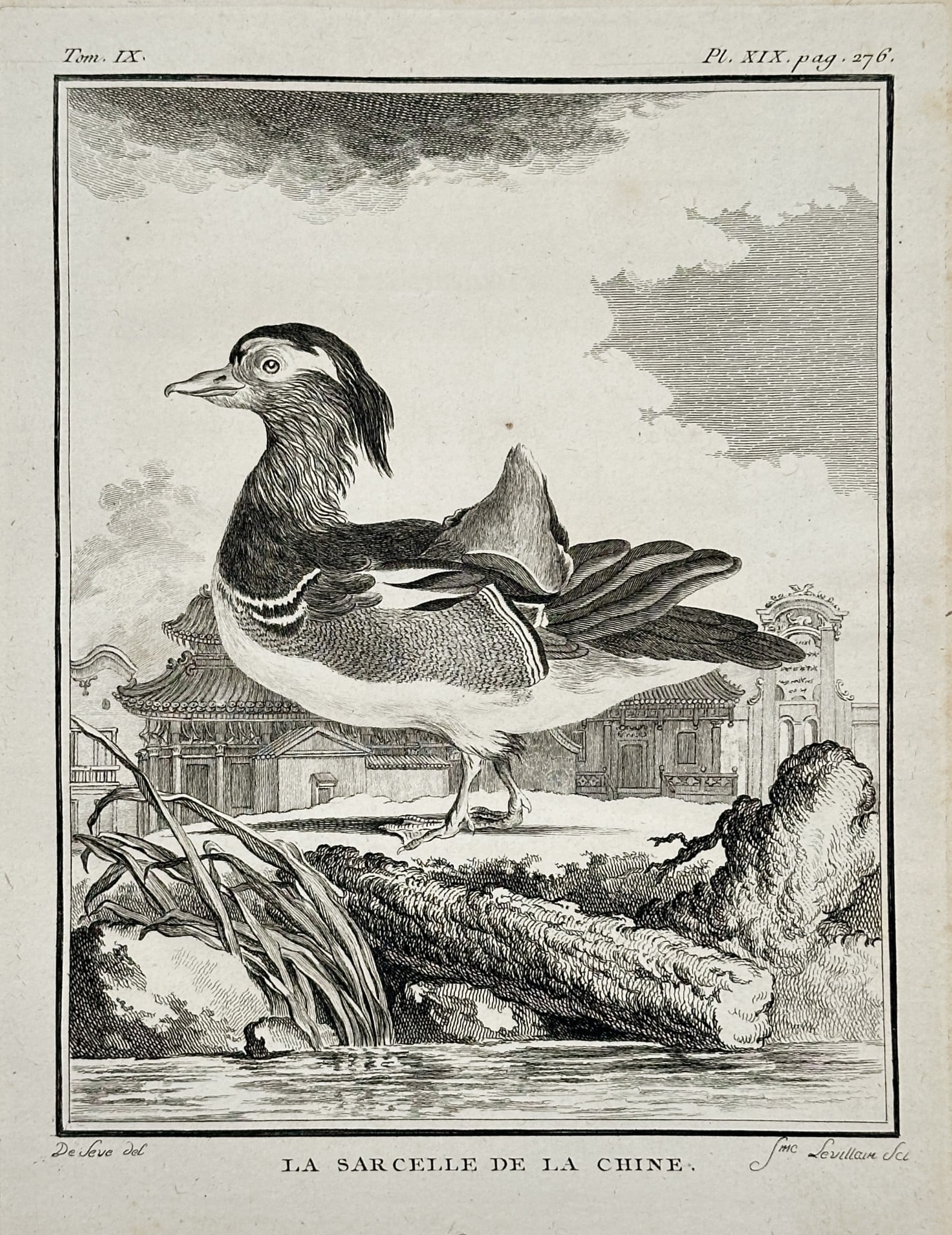 Georges-Louis Leclerc, Comte de Buffon – Illustration of L'Aigle Pecheur: This print is a detailed illustration of a raptor titled L'Aigle Pecheur (The Osprey or Fishing Eagle), shown standing on a rock with its wings slightly raised, set in a landscape with a body of water