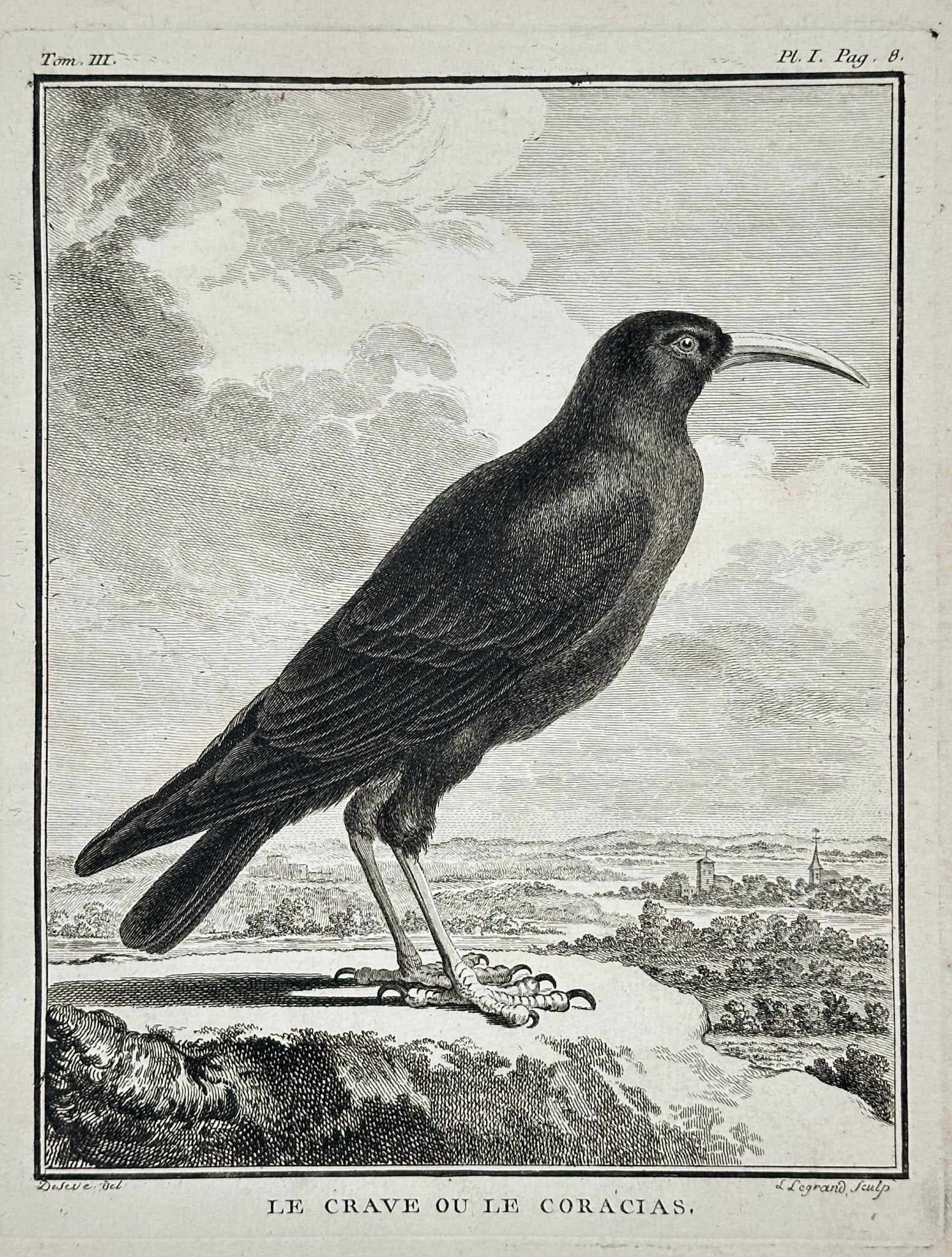 Georges-Louis Leclerc, Comte de Buffon – The Crave or The Coracias (Le Crave ou: This ornithological illustration depicts a large, dark-plumaged bird, identified in the margin as LE CRAVE OU LE CORACIAS (The Crave or The Coracias), which refers to the Red-billed Chough (Pyrrhocora