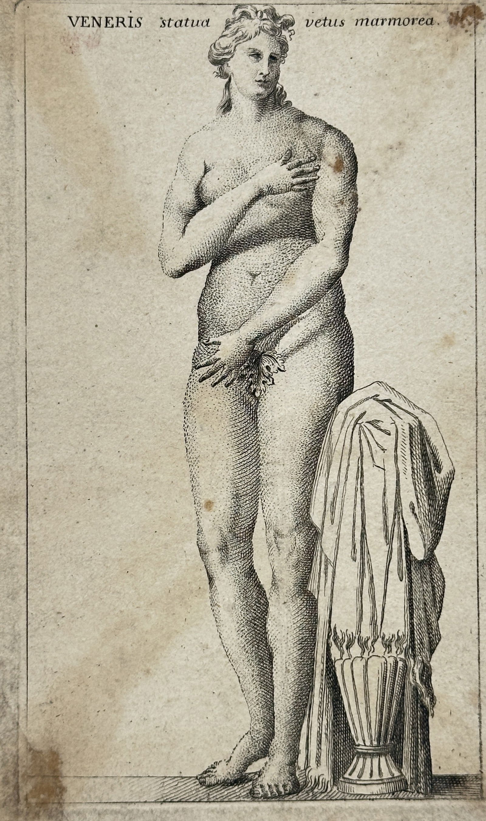 Unknown Artist – Statue of Venus (Veneris Statua) – Engraving (18th Century): This engraving documents a classical marble statue of Venus, often referred to as the Aphrodite Pudica type, where the goddess is shown nude attempting to cover herself. The standing figure is depicte