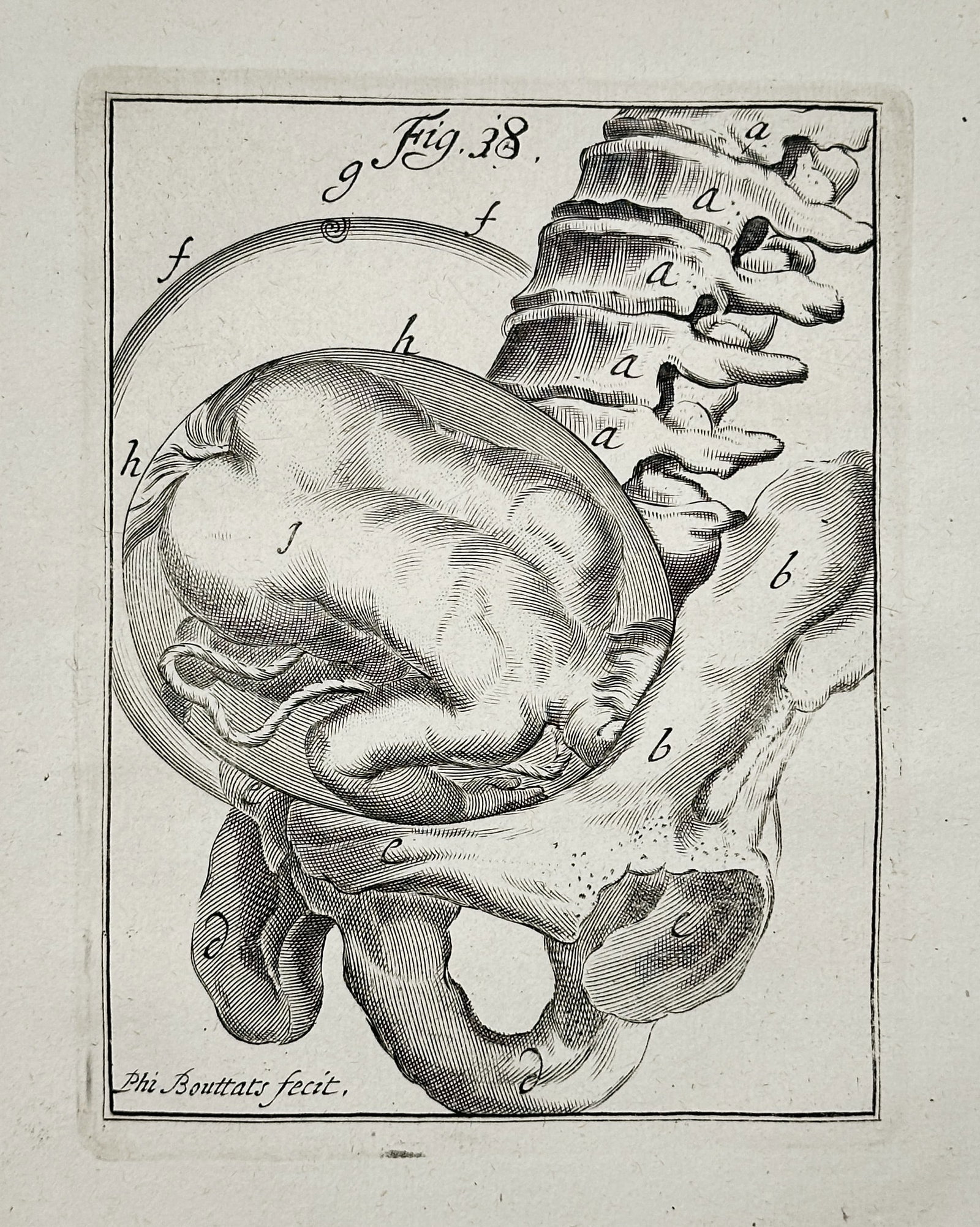Hendrik van Deventer (1657–1724) – Anatomical Study of the Fetus, Spine, and Pelvis (1 of 3)