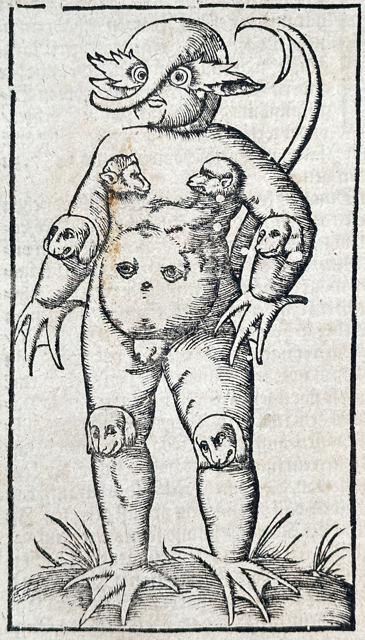 Sebastian Münster (1488–1552) – Monstrous Figure of Poland – Woodcut (1550) (1 of 3)