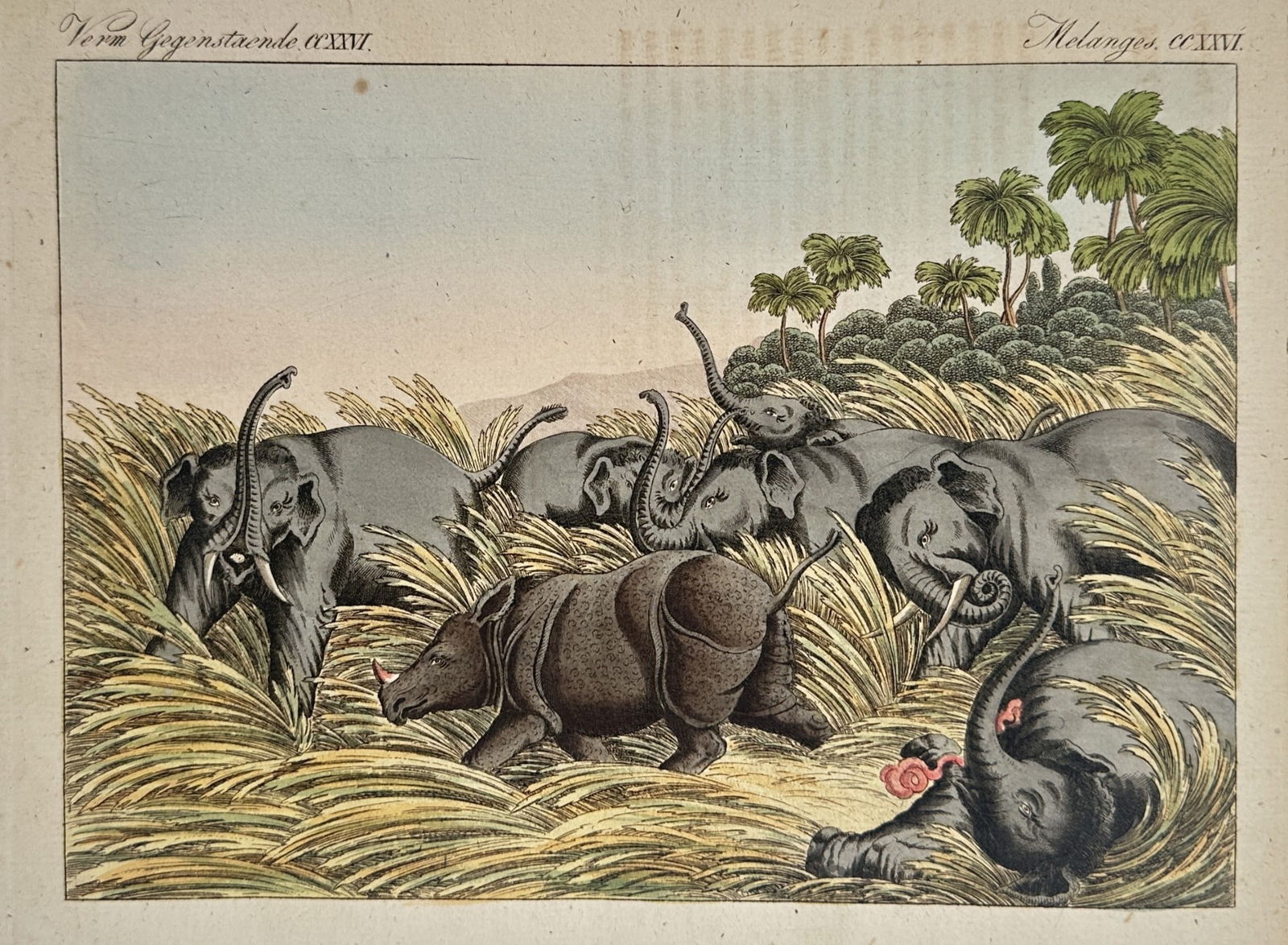 Friedrich Justin Bertuch (1747–1822) – Indian Elephants and Rhinoceros in a Land (1 of 2)