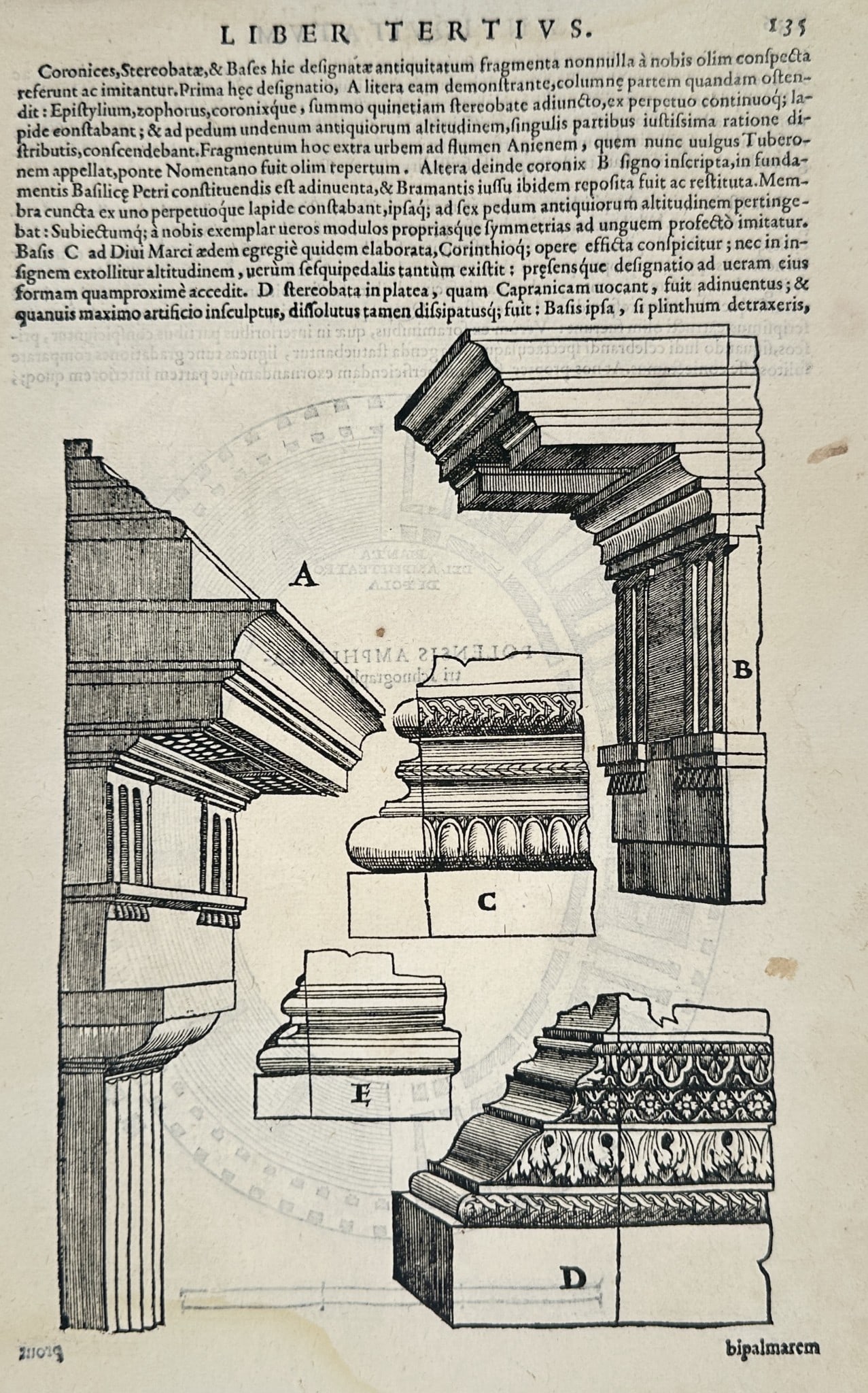 Andrea Palladio (1508–1580) – Architectural Study of Classical Fragments (1 of 2)