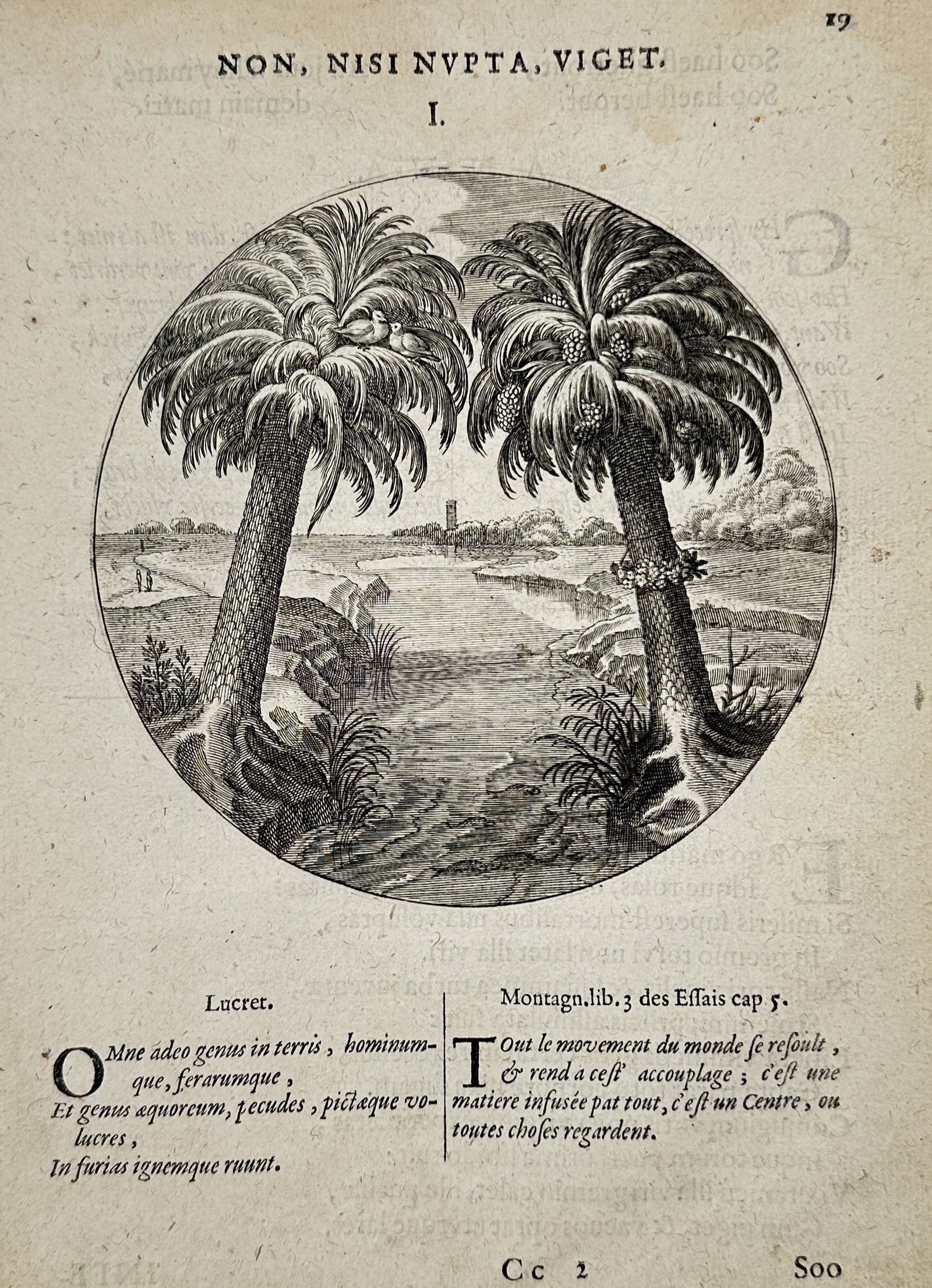 Jacob Cats (1577-1660) – Marriage allegory of the palm trees – Engraving (1658) (1 of 2)