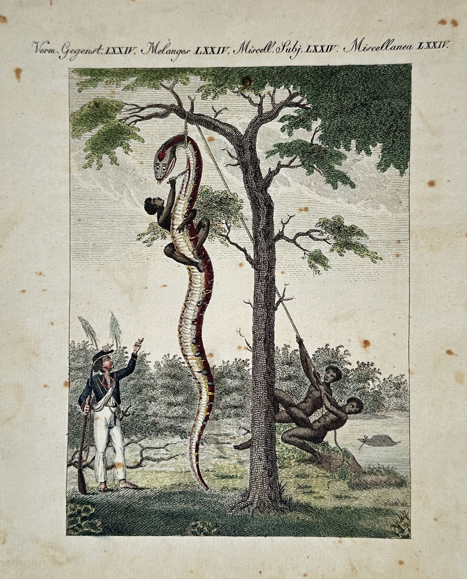 Friedrich Justin Bertuch (1747–1822) – Encounter with a giant serpent – Hand-colored Engraving: Verm. Gegenst. LXXIV. Melanges LXXIV. Misc. Subj. LXXIV. Miscellanea LXXIV. This print depicts a dramatic jungle scene featuring a large serpent entwined around a tree branch. A human figure is positi