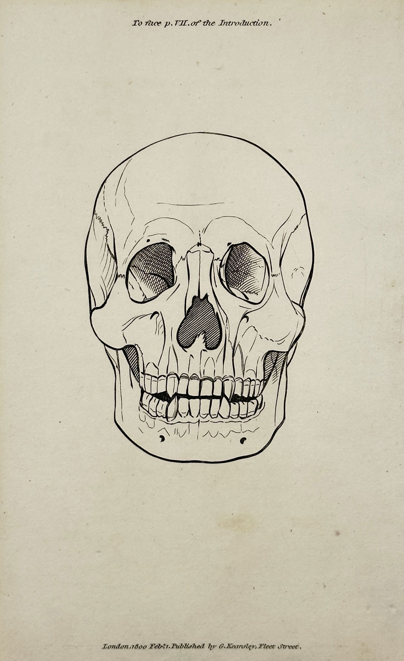 George Shaw (1551-1813) – Frontal View of a Human Skull – engraving (1800) (1 of 2)