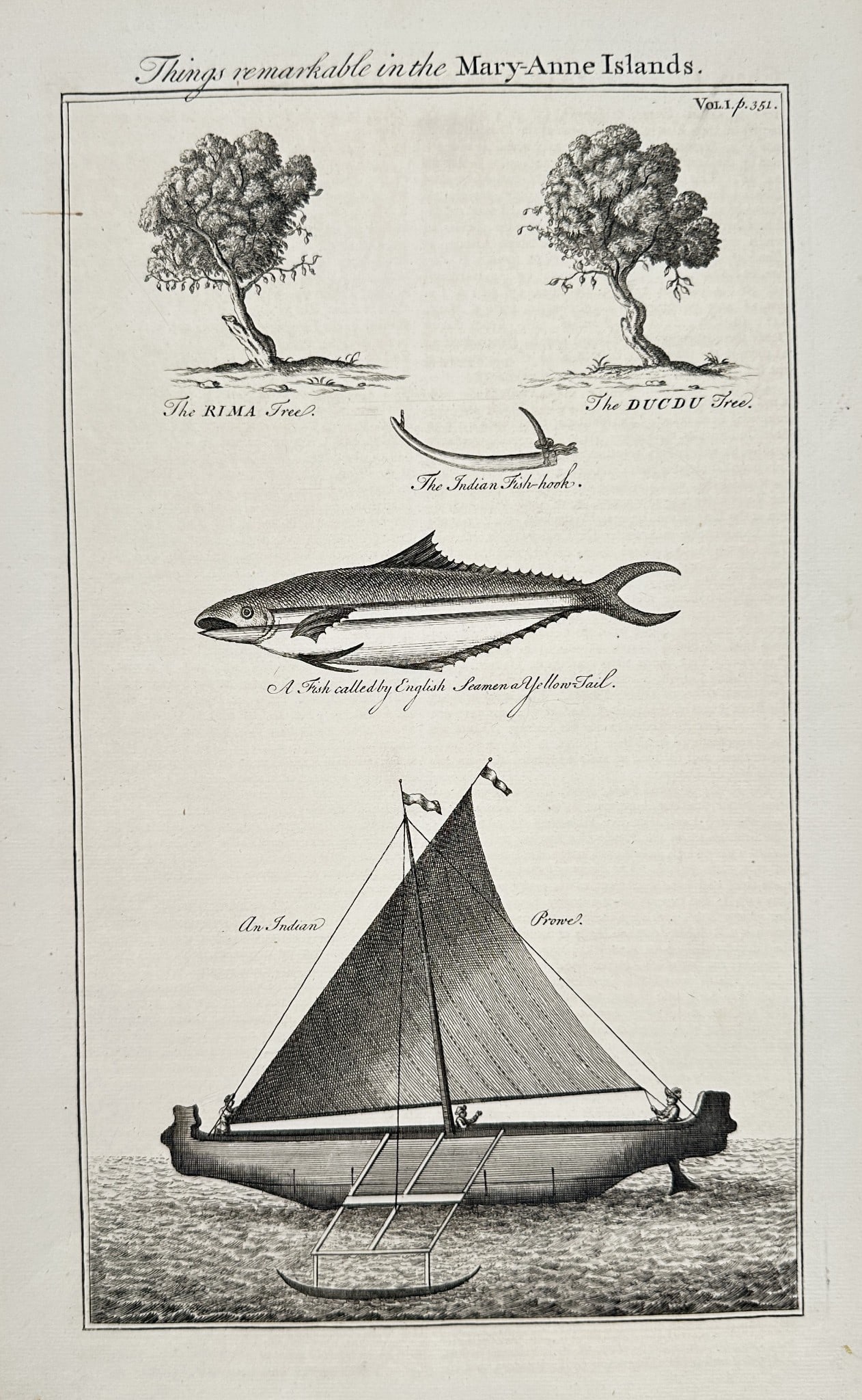 John Harris (Active 1680–1740) – Things remarkable in the Mary-Anne Island (1 of 2)