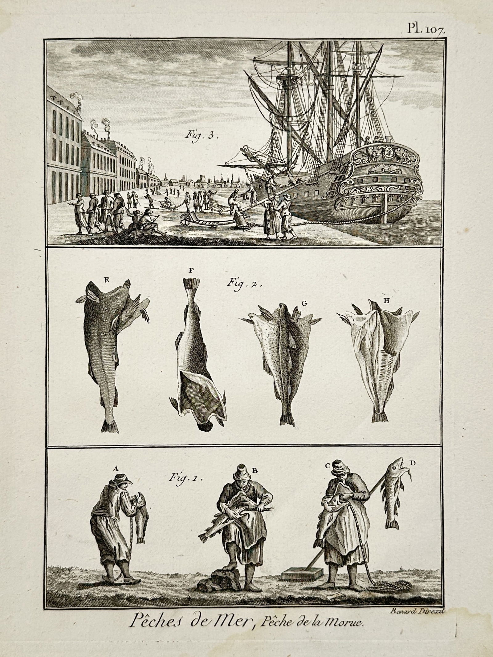 Robert Bénard (1734–1777) – Marine Fishing and Cod Preparation – Engraving (1771): "Pêches de Mer, Pêche de la Morue." This engraving presents three horizontal registers illustrating the technical and commercial aspects of the cod fishing industry in the eighteenth century. The up