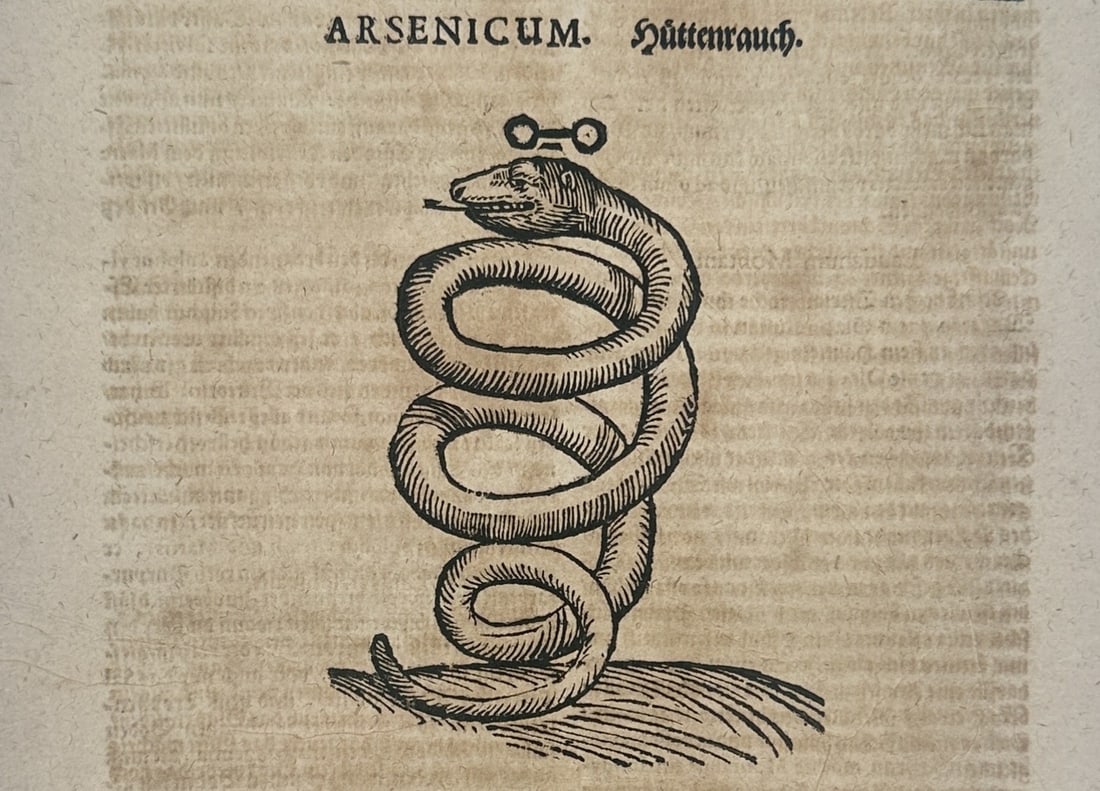 Ulisse Aldrovandi (1522-1605) – Arsenic or the Coiled Serpent – engraving (1648) (1 of 3)