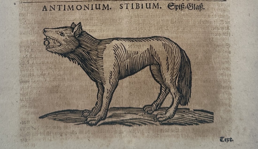 Ulisse Aldrovandi (1522-1605) – Antimony or the Grey Wolf – engraving (1648) (1 of 3)