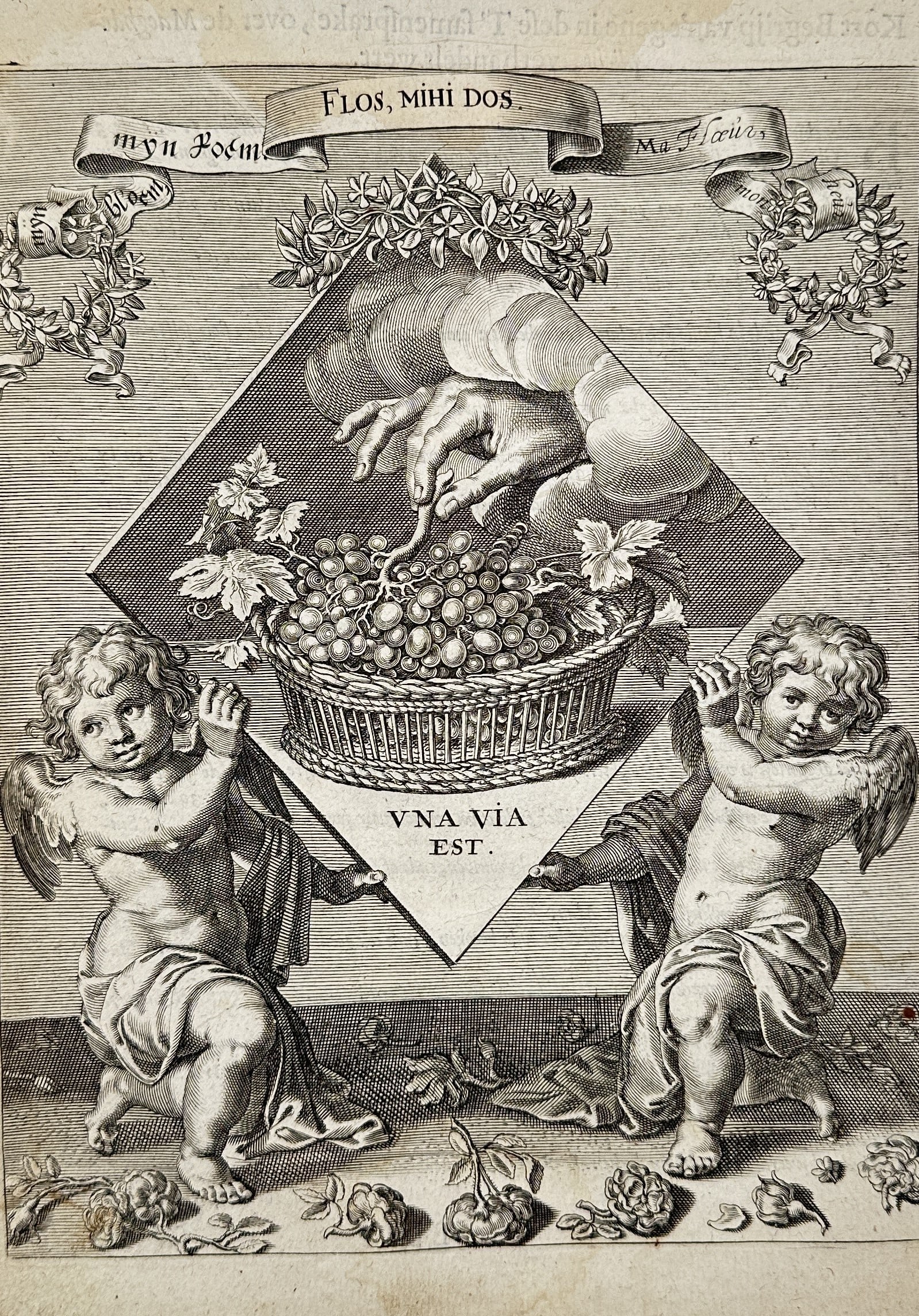 Jacob Cats (1577-1660) – Allegory of the basket of grapes and putti – Engraving (1658) (1 of 2)