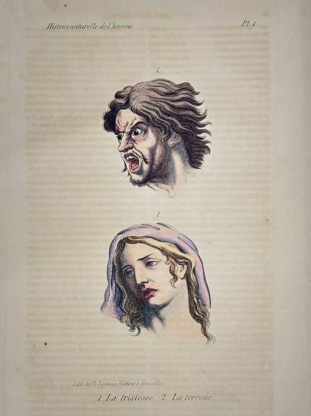 Georges-Louis Leclerc, Comte de Buffon – Sadness and Terror – Lithograph: This lithograph features two human heads illustrating the distinct facial expressions of sadness and terror. These character studies were published as part of the natural history series Histoire natur
