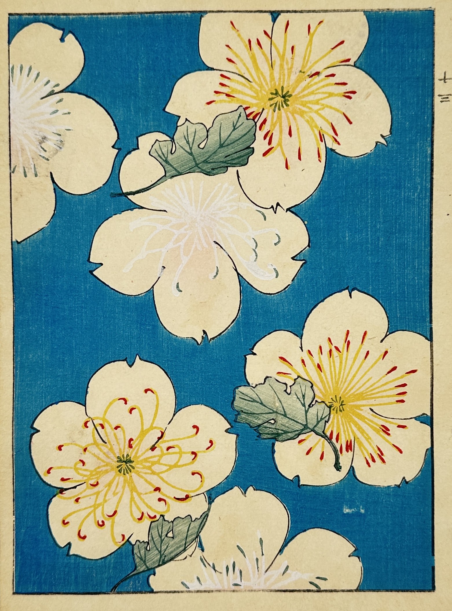 Japanese School – Floral Textile Pattern with White Blossoms – Woodcut (20th Century): This woodcut features a vibrant decorative textile pattern showcasing large white blossoms with prominent yellow and red stamens set against a solid blue background. The composition includes several s