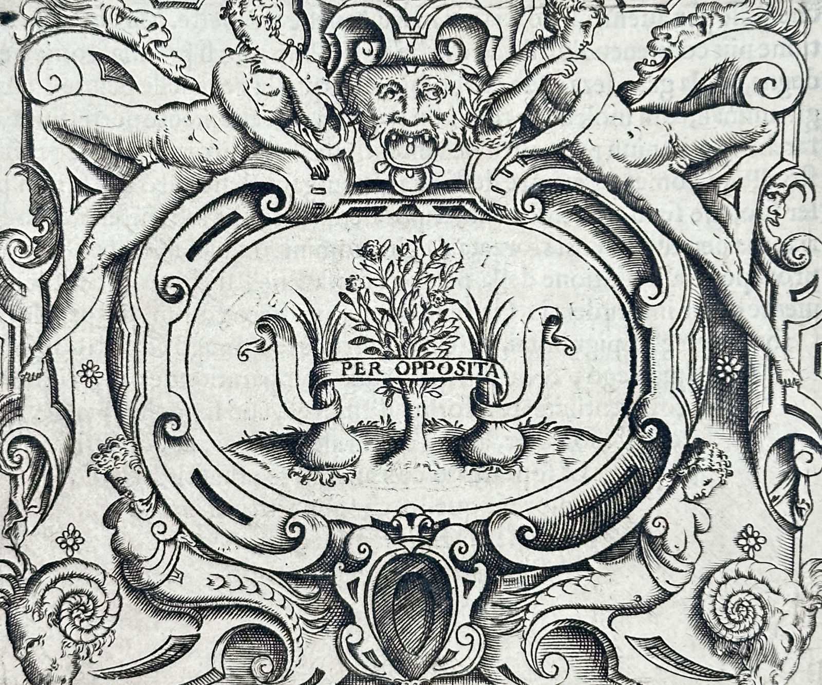 Girolamo Ruscelli (1504–1566) – Emblem of Girolamo Faleti with Rose and Onions – Engraving (1 of 3)
