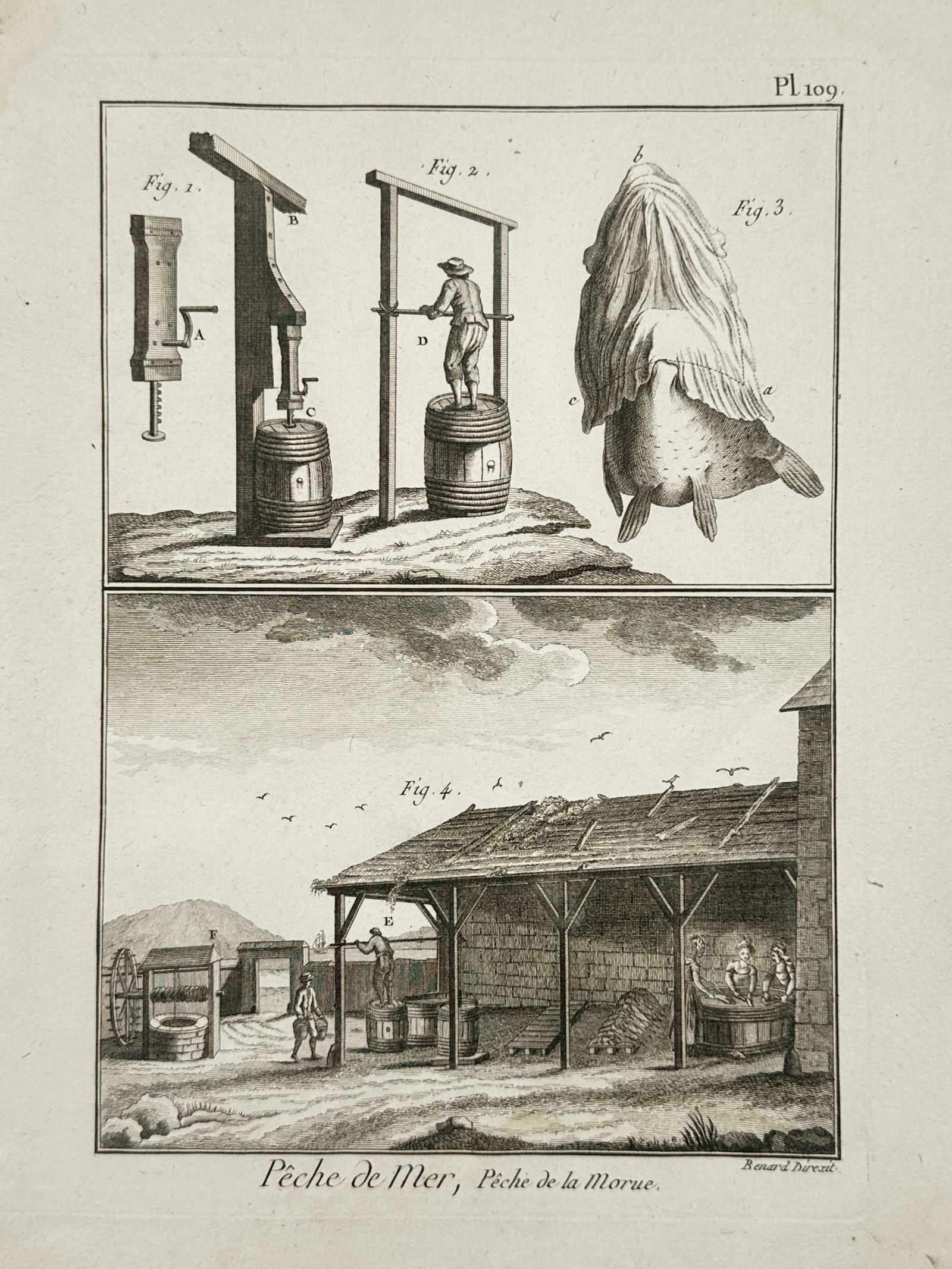 Robert Benard (1734-1777) – Peche de Mer, Peche de la Morue – Engraving (1774): "Peche de Mer, Peche de la Morue" This engraving illustrates the technical processes involved in the eighteenth century cod fishing industry. The upper section contains three diagrams showing the mech