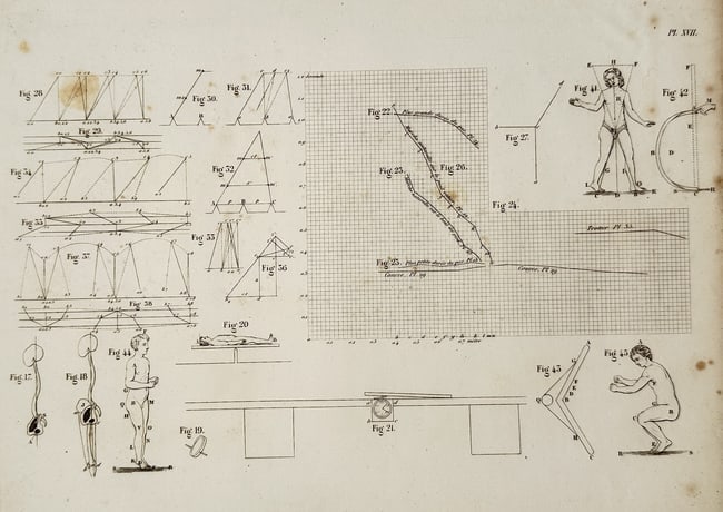 Wilhelm Weber & Eduard Weber – Studies of Human Movement, Plate XVII – Lithograph (1 of 2)
