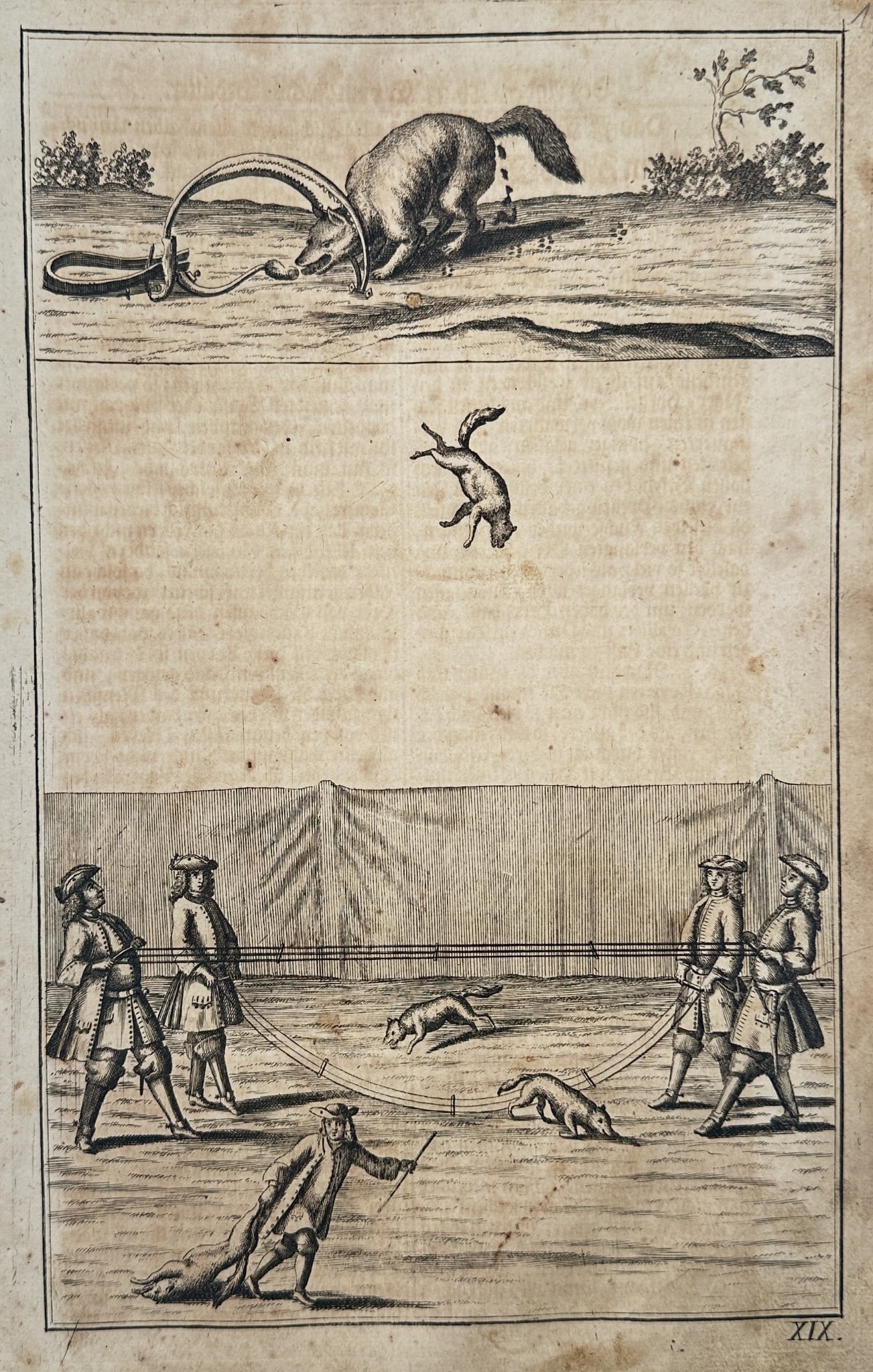 Johann Friedrich von Flemming (1670–1733) – Hunting and Trapping Scenes: This copperplate engraving depicts various facets of early 18th-century hunting and game management as detailed in German literature. The composition shows three distinct vignettes: an animal encounte